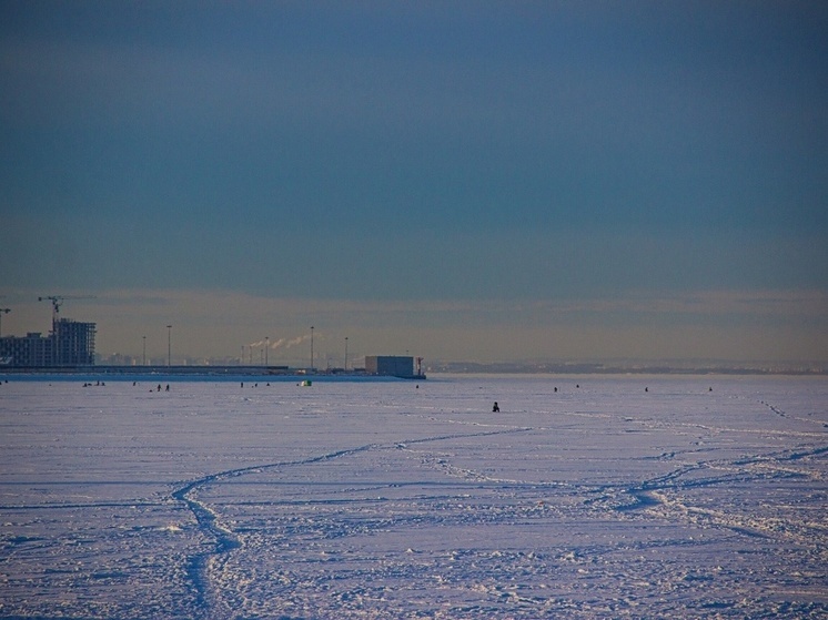 Новомосковские рыбаки соревновались в ловле на мормышку