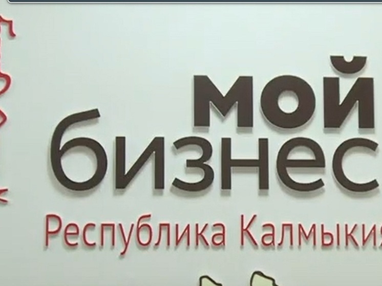 Предприниматели Калмыкии получили новую меру поддержки