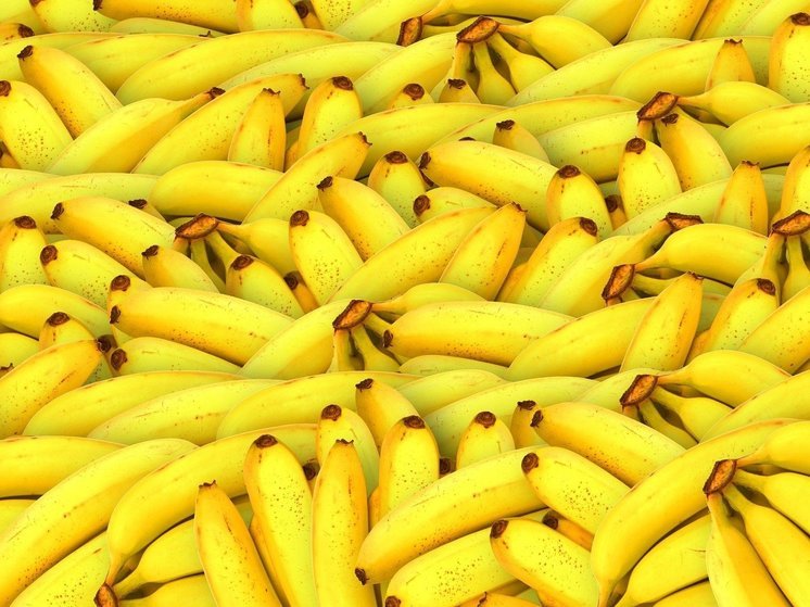 Россия установила частичный запрет на эквадорские бананы и полный на гвоздики