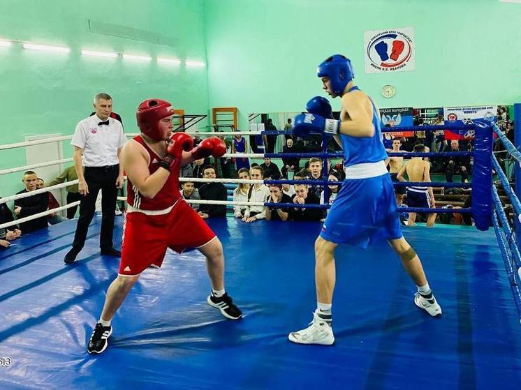 Первенство по боксу провели в Харцызске