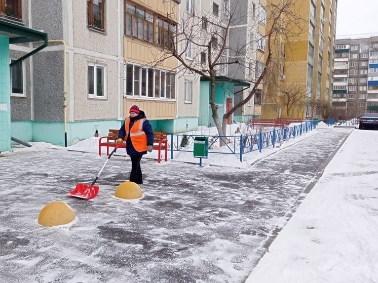 В Курске мэрия проверила санитарное состояние дворов в Сеймском округе