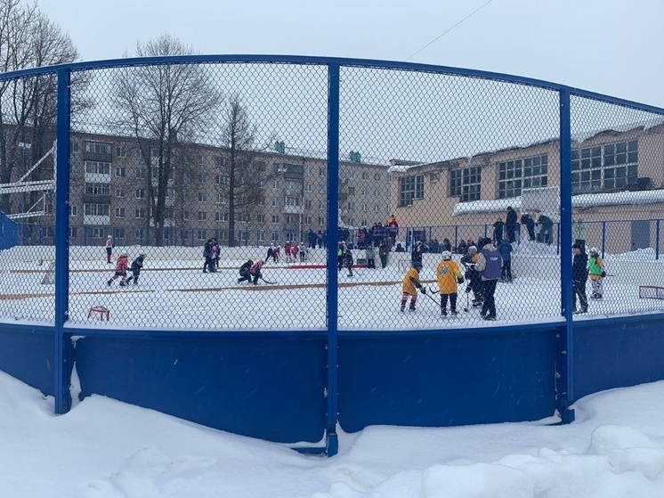 В Валдае состоялся семейно-спортивный фестиваль «Люблю папу, маму и хоккей»