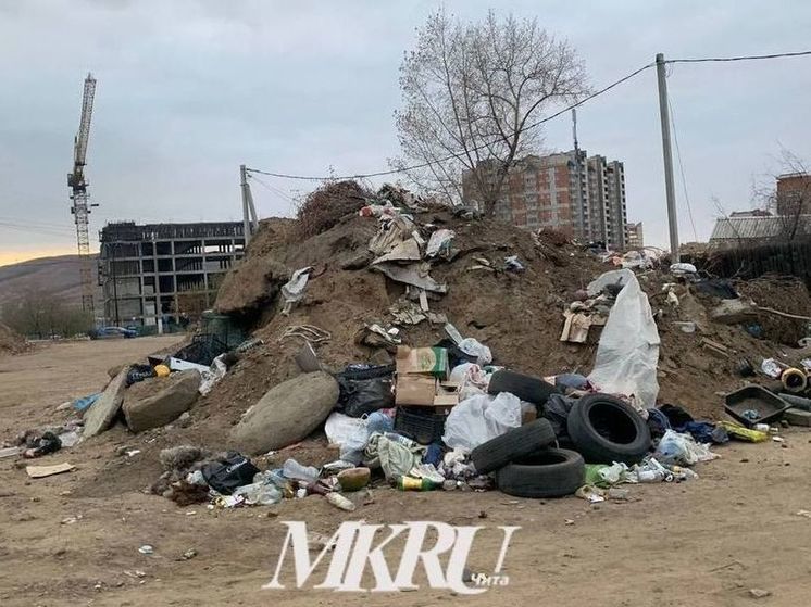 Щеглова проверит график уборки мусора из-за грязных улиц