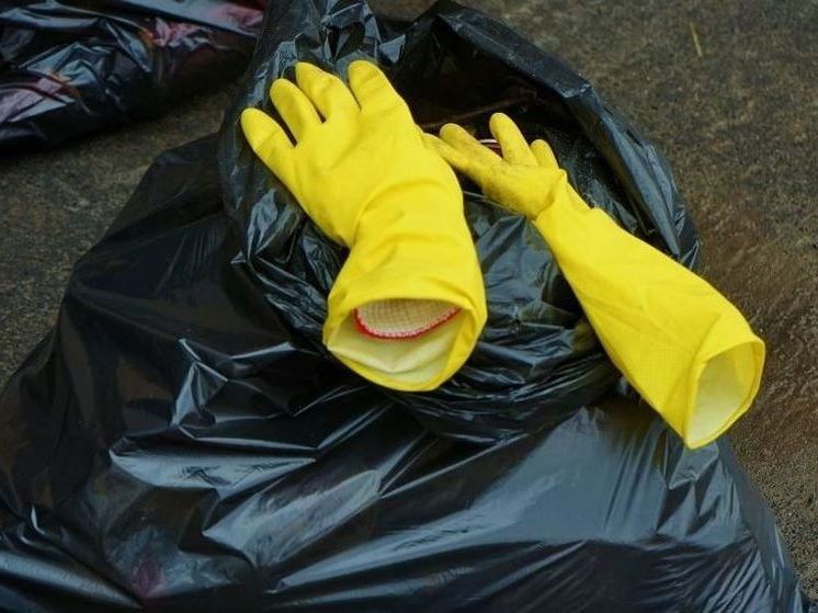 В Орловской области выявили 12 свалок ТКО