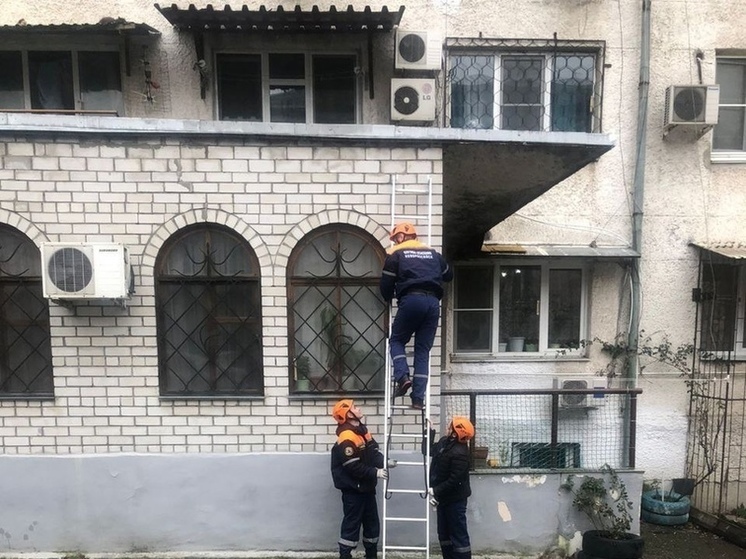 Новороссийские спасатели сняли кота с козырька окна многоэтажки