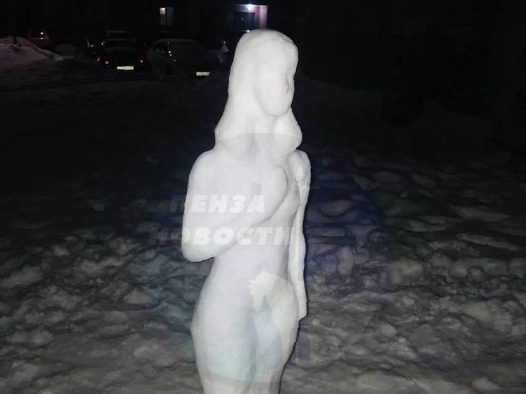 В Пензенском дворе появилась необычная снежная баба