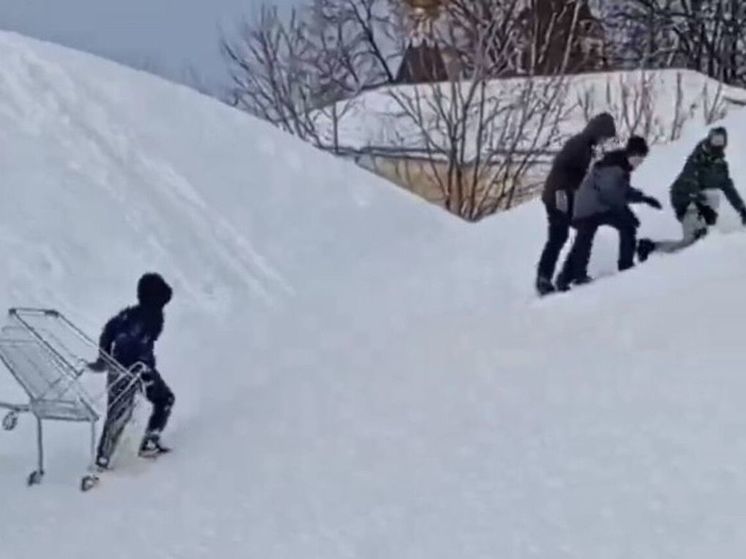 В Дмитрове заметили детей на горке с тележкой для продуктов