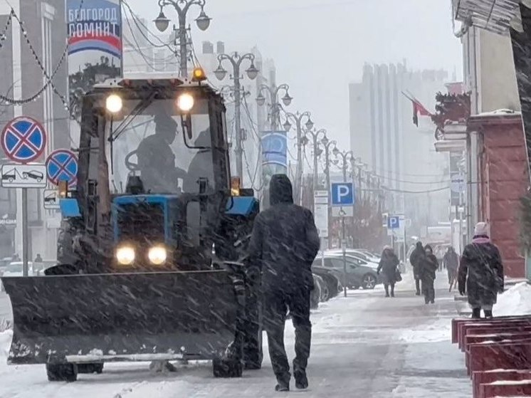 В понедельник на уборку Белгорода вышли почти 300 коммунальщиков