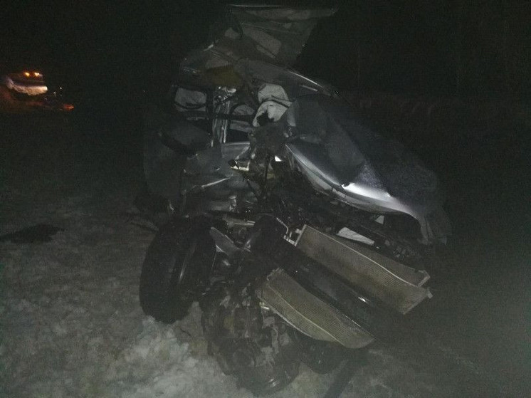 В массовом ДТП с фурой в Касимовском районе погиб 22-летний водитель Hyundai