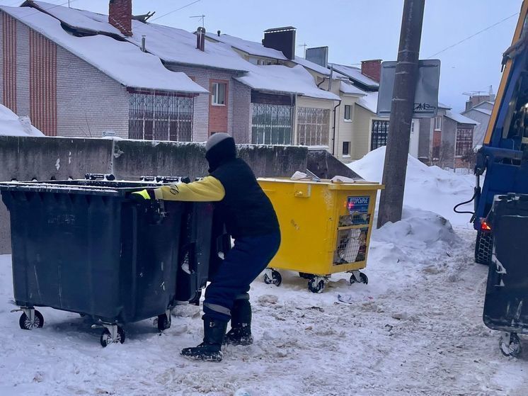 В Орле ищут желающего заняться ремонтом мусорных баков