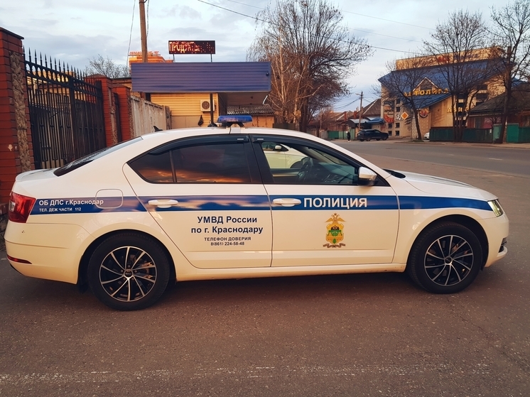 В Краснодаре полиция проводит проверку по факту непристойного поведения двух девушек в пиццерии