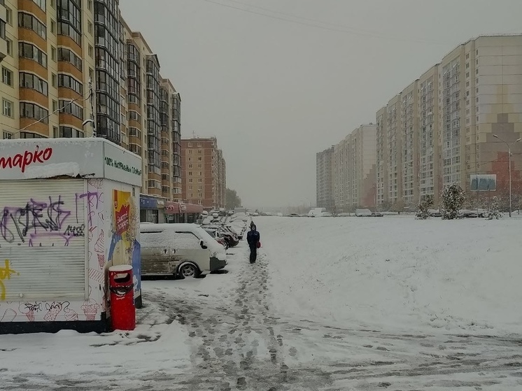 Потепление до +2 с мокрым снегом придет в Новосибирск к концу рабочей недели