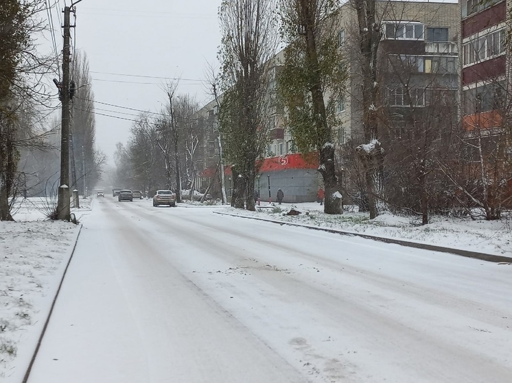 В Курской области 6 февраля ожидается снегопад при -2 градусах