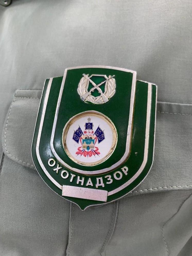 В Лабинском районе ищут браконьеров, убивших двух кабанов и четырёх беременных самок