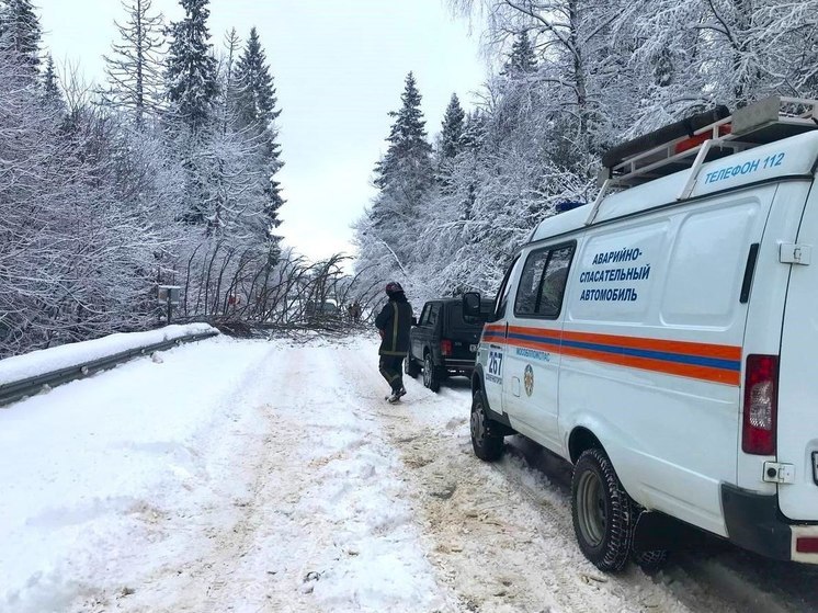Спасатели Подмосковья освободили дорогу от поваленного ветром дерева