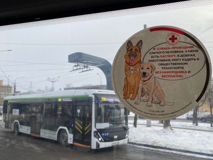 Мэрия Красноярска через наклейки просит не выгонять поводырей из автобусов