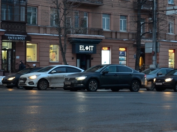 В Тульской области за 3 дня поймали 27 пьяных водителей