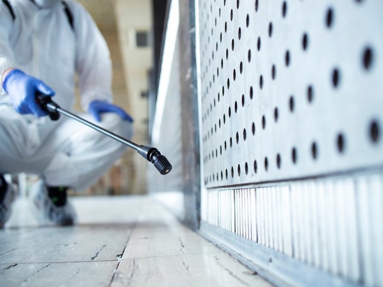 Ученикам новосибирской школы стало плохо после дезинсекции от тараканов