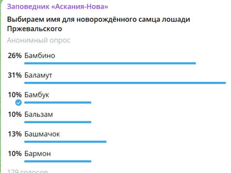 В заповеднике случилось пополнение
