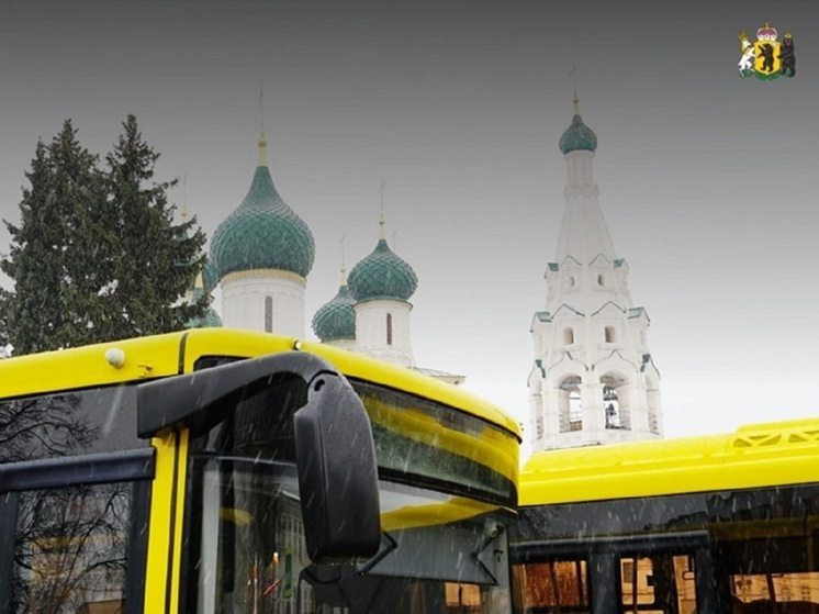 Из Ярославля до Демино запустят прямые автобусы.