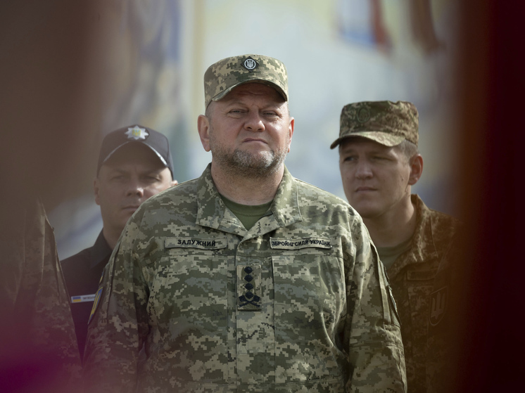 Первый замглавы Рады Корниенко уклонился от вопроса о возможной отставке Залужного