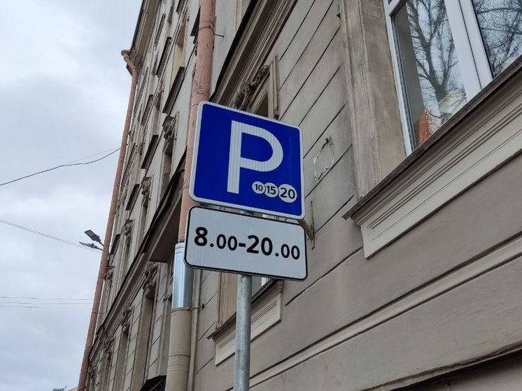 Водителям рассказали о наказании за отказ оплачивать парковку в Петербурге