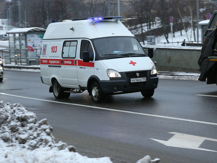 В Перми собака напала и разорвала ногу девочки