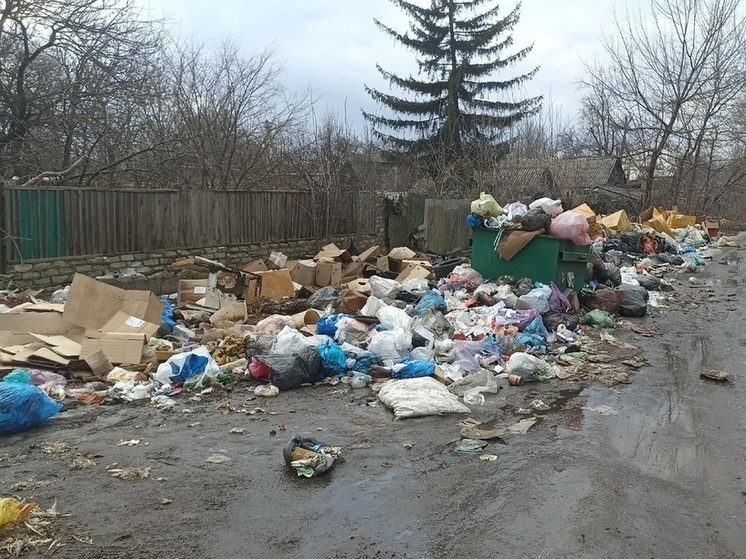 Шевченко: Ясиноватая выбилась из графика по вывозу мусора
