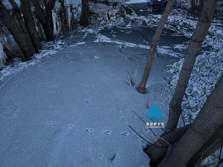 В черном снеге Красноярска нашли превышения вредных веществ