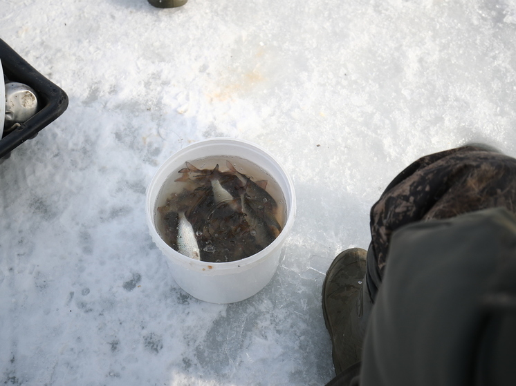  Астраханские полицейские задержали браконьера с 6 мешками рыбы