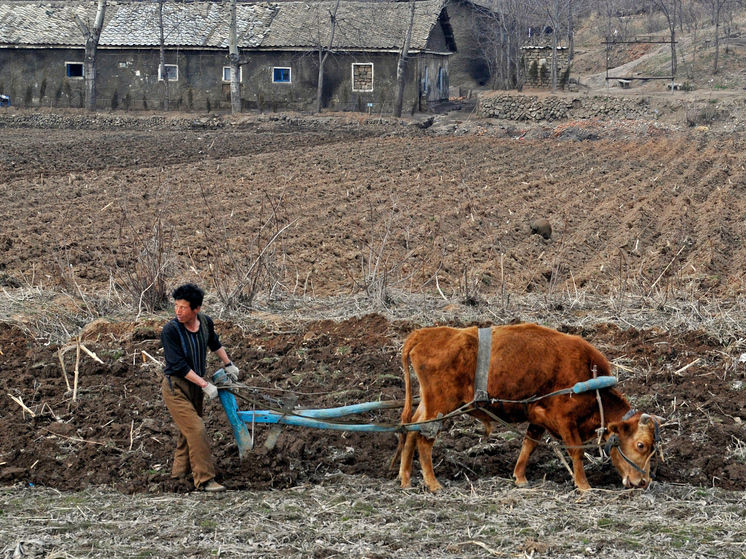 «Неконфликтны, не будет экстремизма»