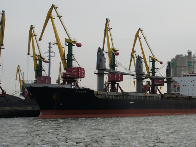От Калининградского торгового порта через суд добиваются  смены гендиректора
