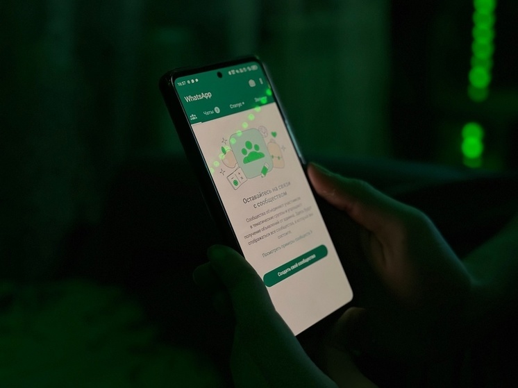 Жители Тулы и области смогут выбирать в WhatsApp избранные контакты