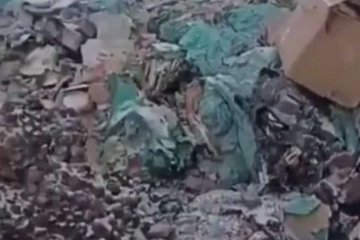 Tens of thousands of eggs were dumped in a landfill in a Russian city