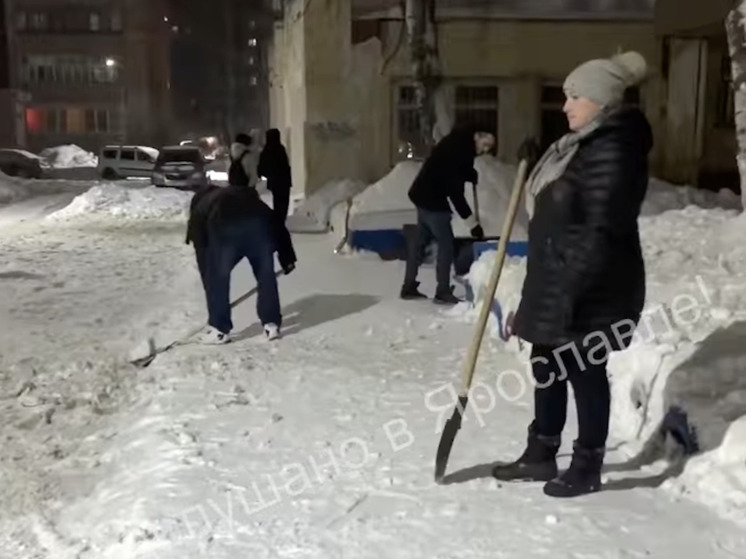 В Ярославле жители двора своими руками проделали работу дворников