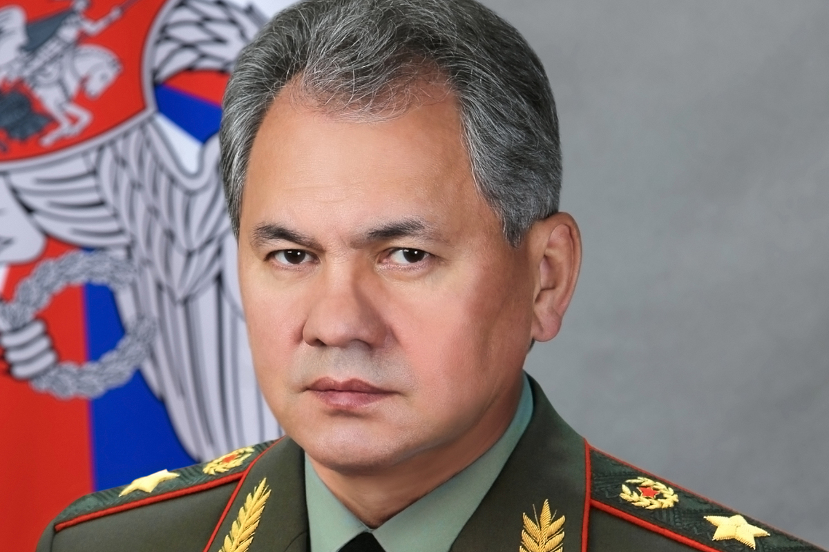 In China, Shoigu's address during the negotiations raised eyebrows