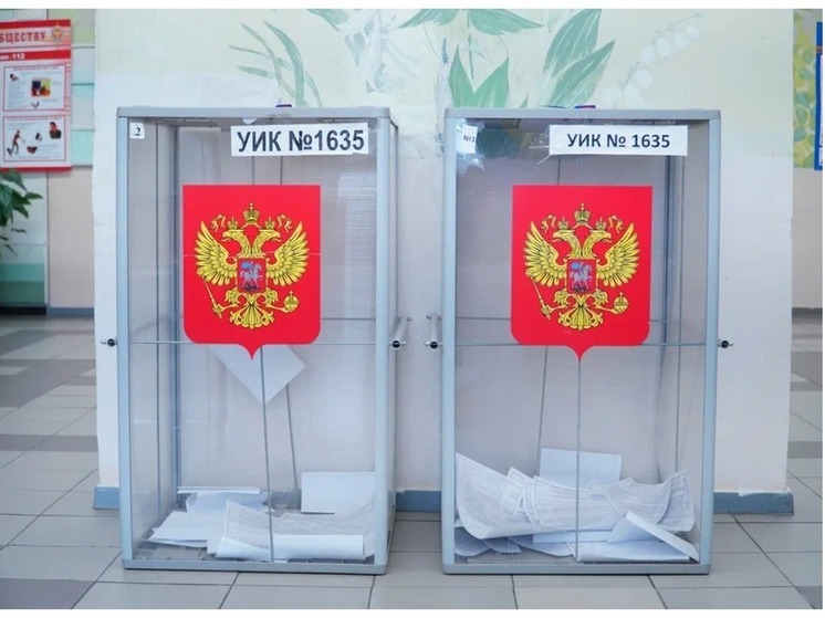 4500 наблюдателей от Общественной палаты НСО будут на выборах Президента РФ