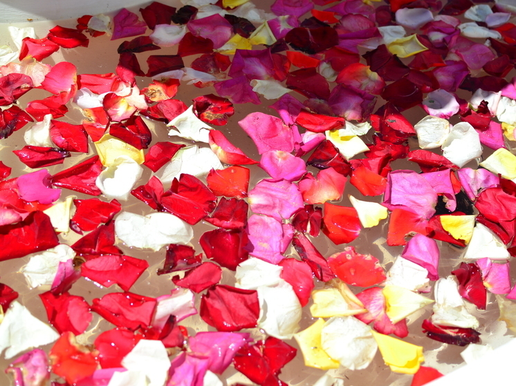 Афиша мероприятий на День всех влюбленных 2024 в Хабаровске - мастер-классы, спектакли, кино