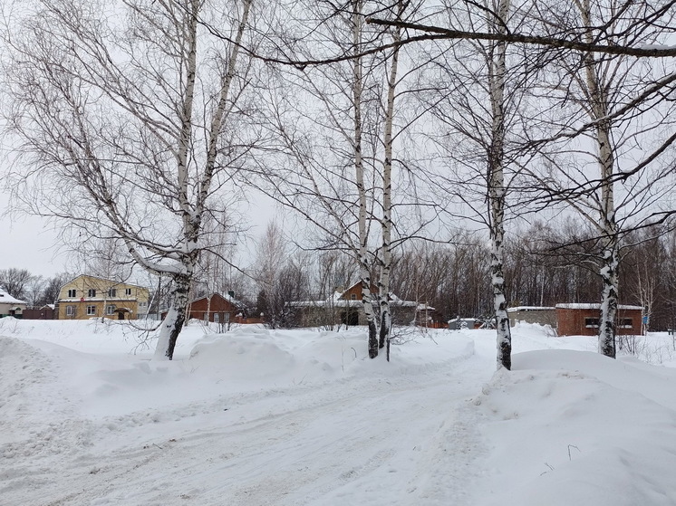 В Козьмодемьянске появится детский спортивный сквер