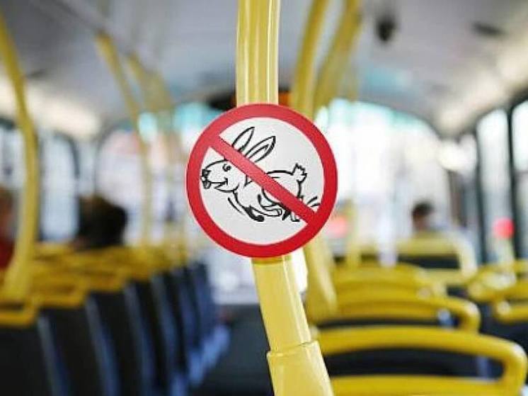 В Ярославле контролеры выписывают штрафы и при наличии действующего проездного