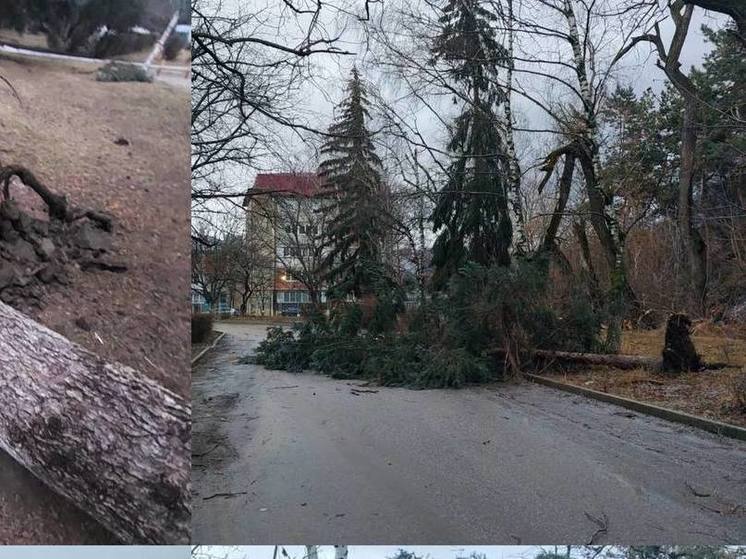 Поваленные ураганным ветром деревья перекрыли дорогу в Предгорном округе
