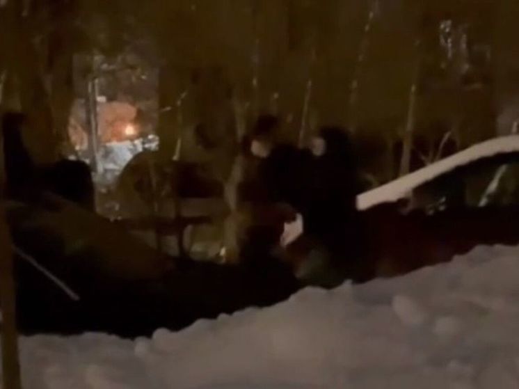 В Подмосковье разборки на кулаках устроили владельцы собак