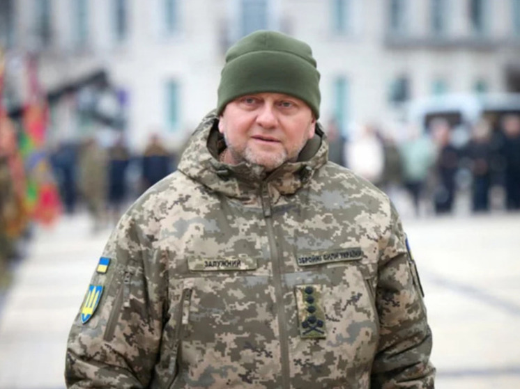 Экс-полковник СБУ Стариков: отставка Залужного не вернет территории Украины