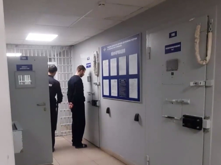 Фальшивый кол-центр по подбору сиделок раскрыла подмосковная полиция