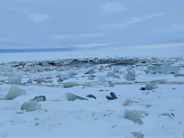 Стало известно, чье тело нашли спасатели в разбившемся вертолете в Карелии