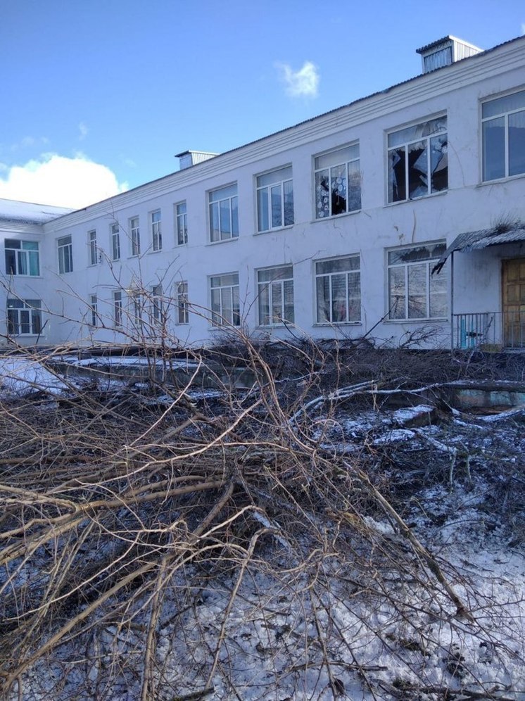 Упавшее во время урагана дерево выбило окна в школе Александровского округа