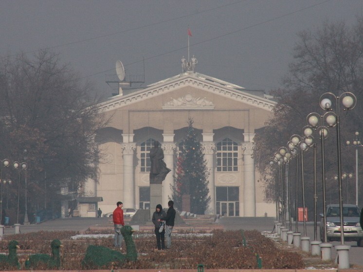 В Бишкеке ряд датчиков по контролю за воздухом установлены на тандыре