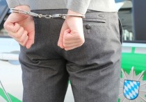 В Смоленске органы правопорядка арестовали подростка-наркодилера