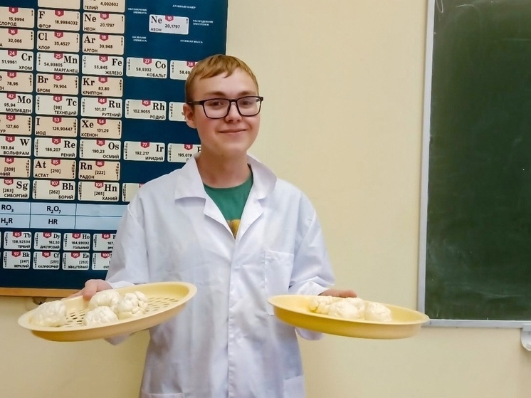 Сыр полезный для сердца создал студент Вологодской ГМХА
