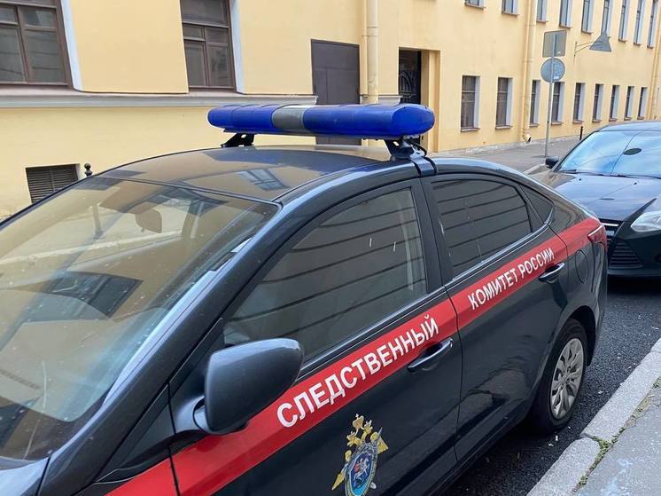 В Ленобласти задержали мужчину, до смерти избившего своего знакомого
